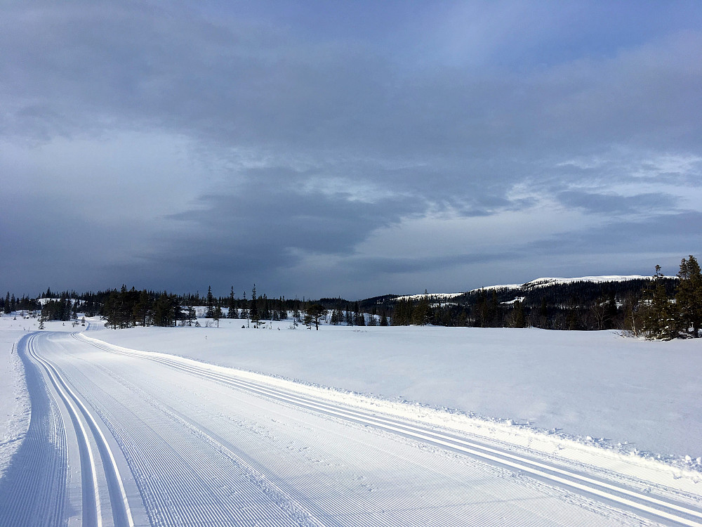 Mot Annfinntjønna.