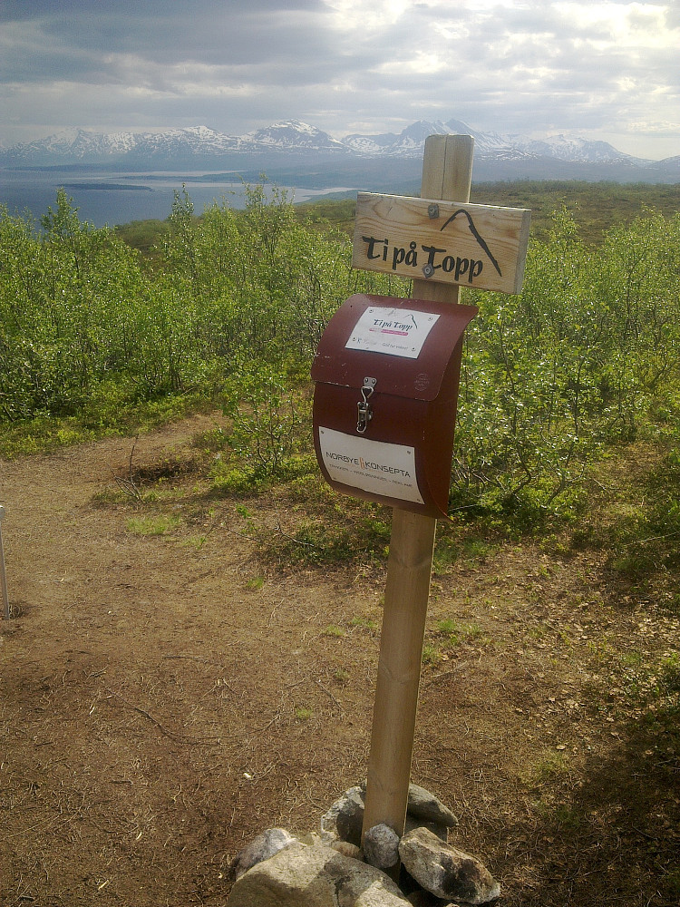 Slaktarhaugen Ti på Topp 2013.