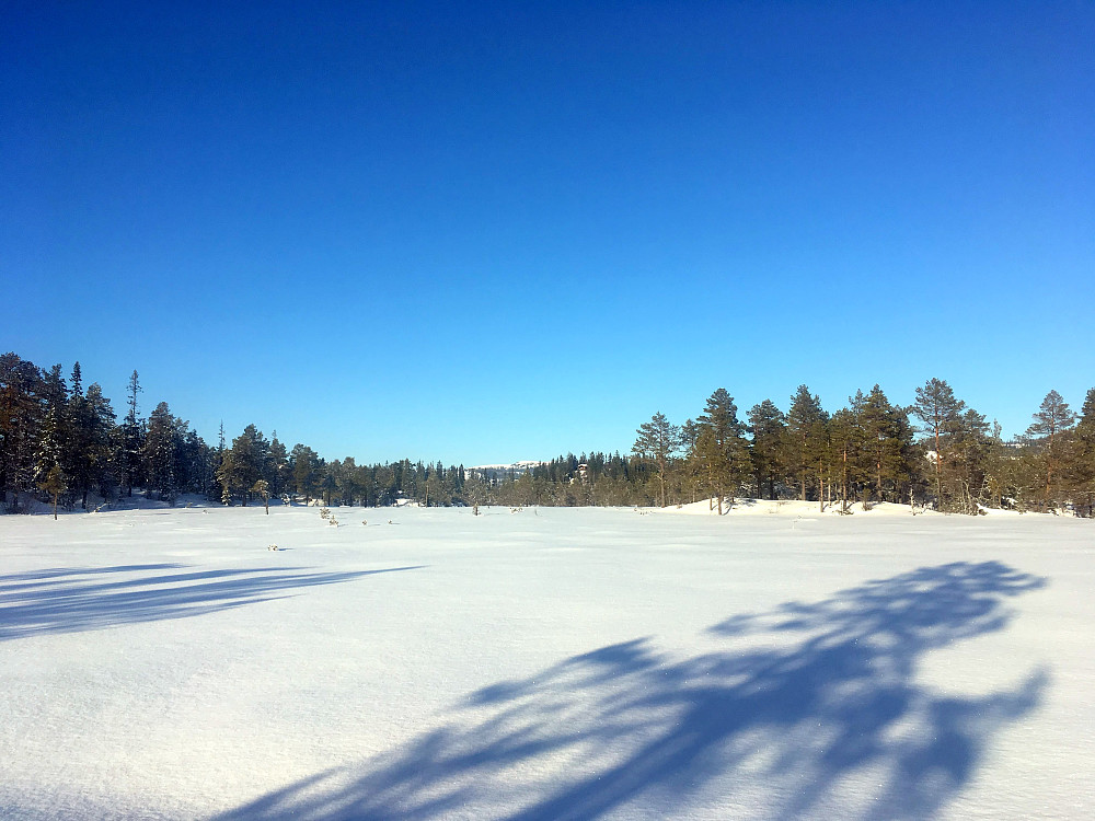 Lomtjøinnmyran.Svalbakkheia i det fjerne.