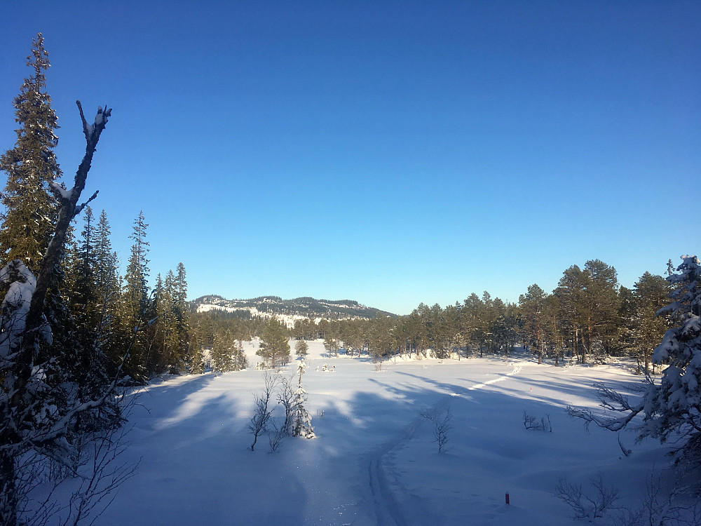 Ser mot Bjørnahaugen og Luråsen.