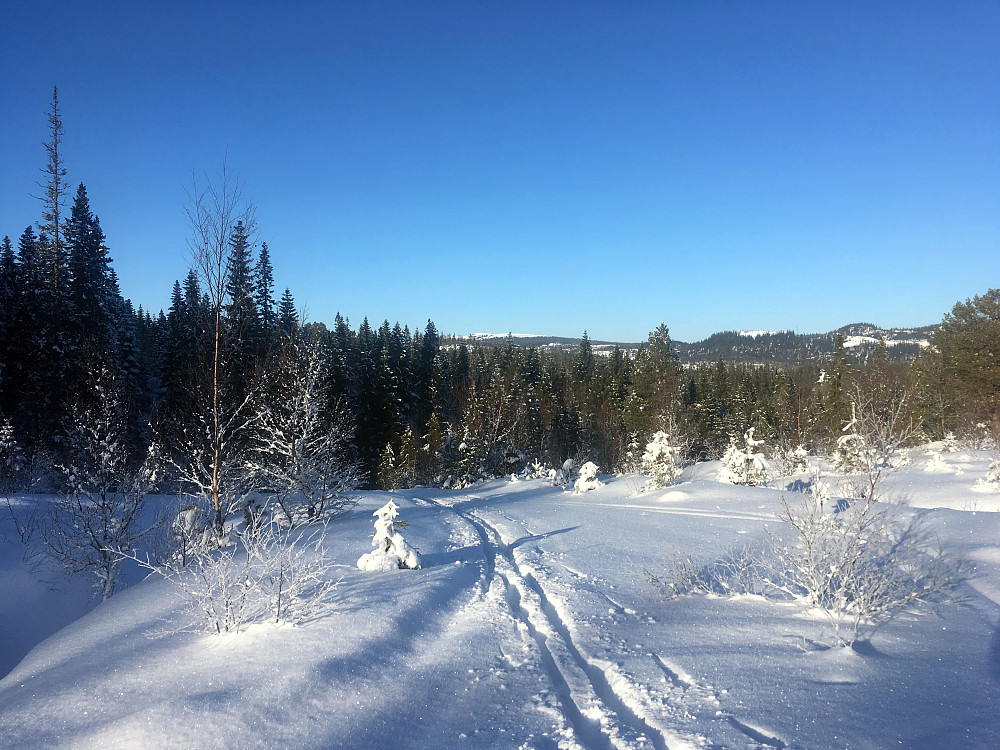 Kaldslættet.