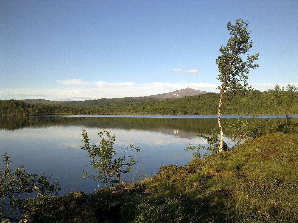 Fint ved Movikvatnet i dag.Nonstinden 1113 moh. i det fjerne.