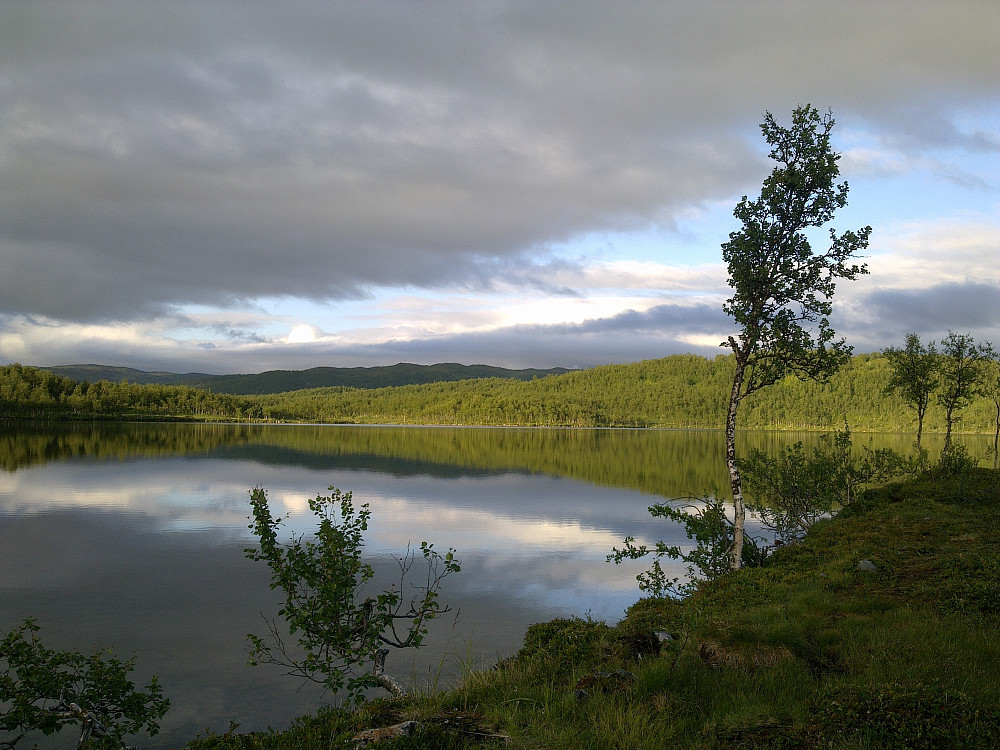 Stille kveld ved vatnet.