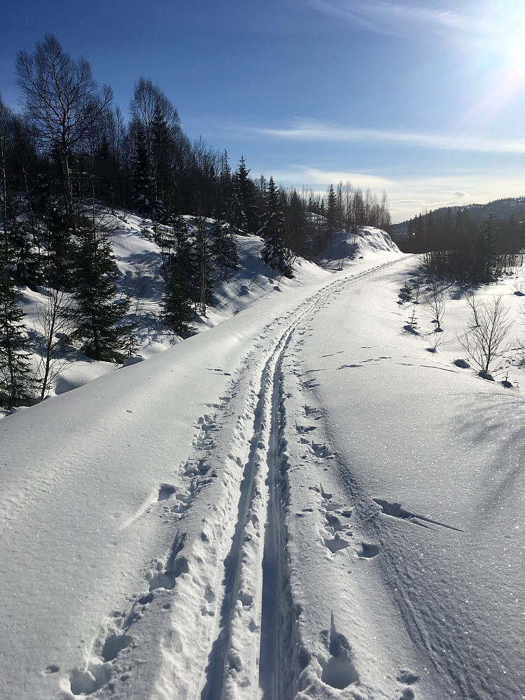 Fine forhold for ski i Tjønndalen i dag.