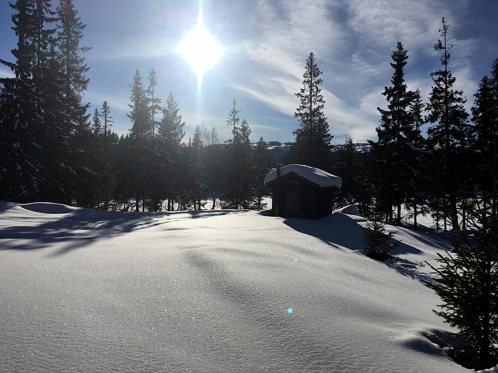 Vinter på skogen.