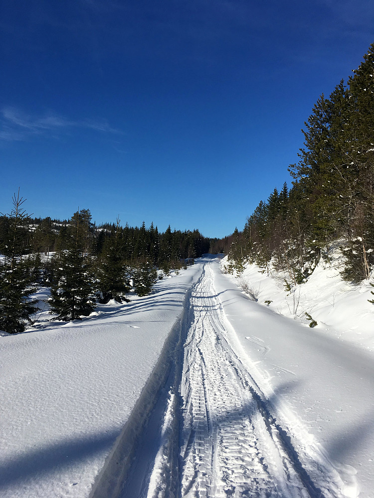 Oksåsvassveien på en fin vinterdag.