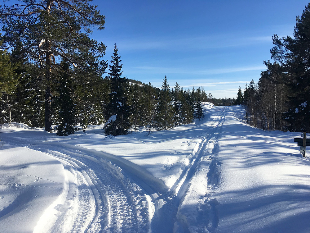 Da kom jeg til veiskille. Tømmerdalsvatnet rett fram men jeg skal til venstre.