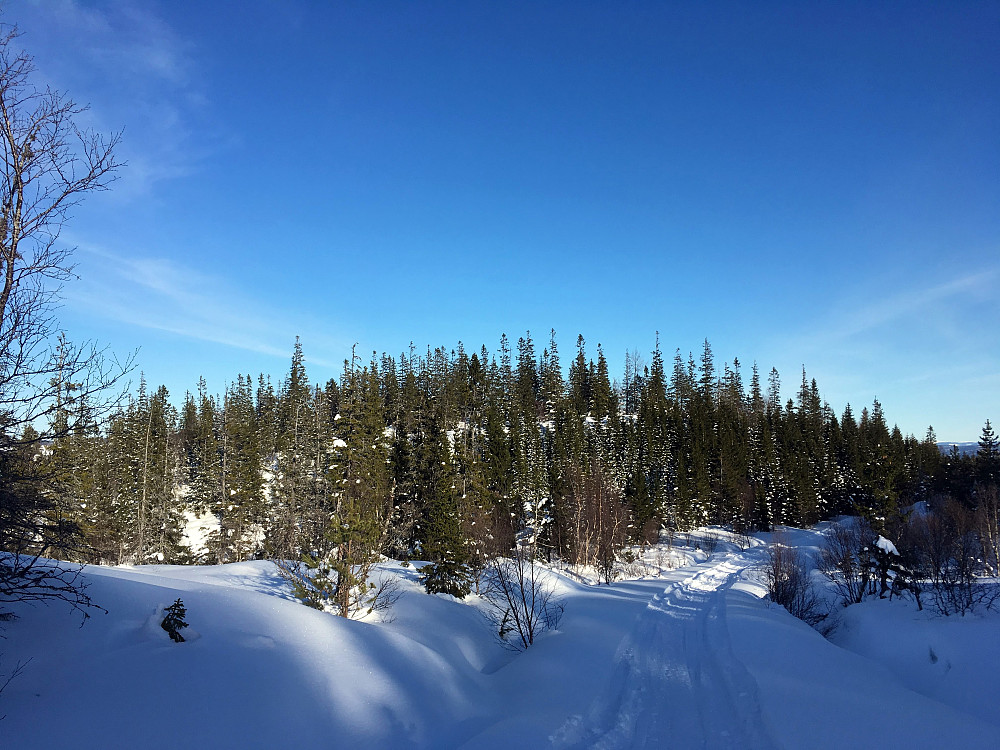 Barkåsen ble ikke "besteget" i dag.