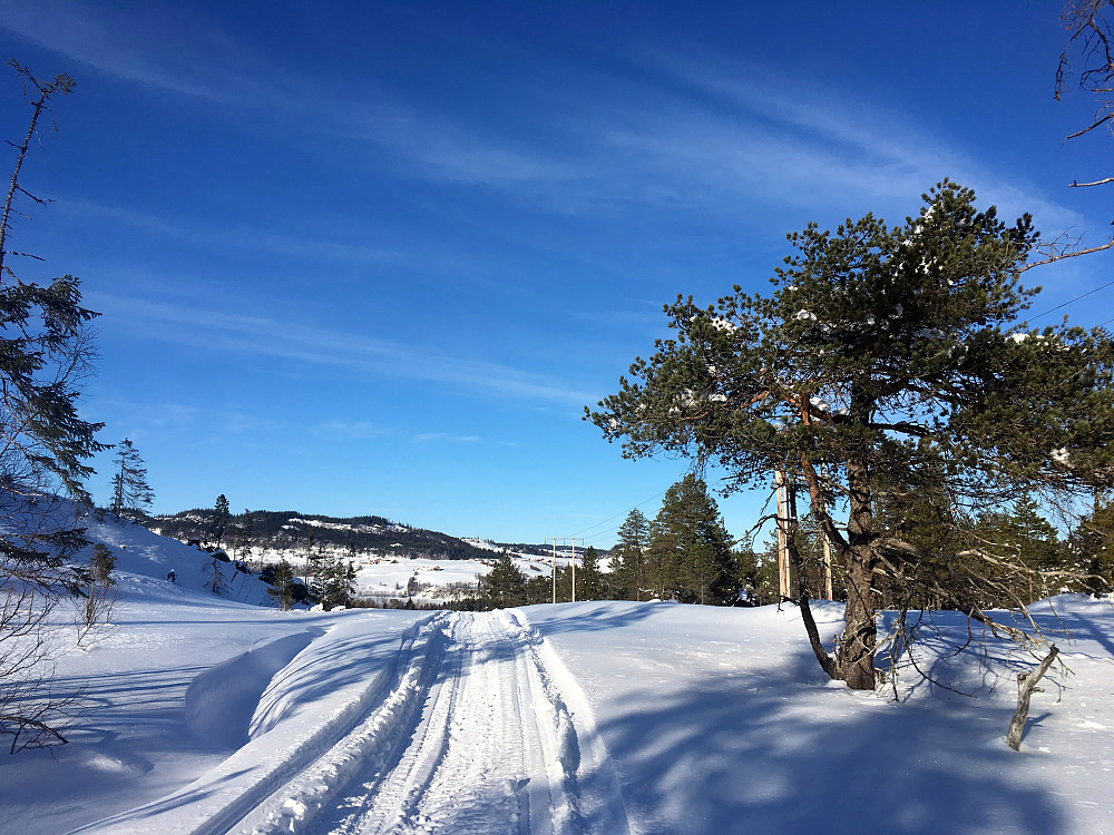 På vei ned mot Oksåsen.