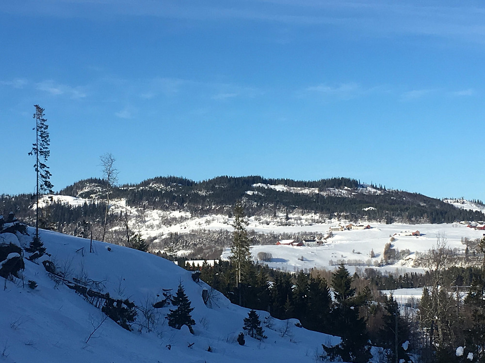 Bjørnahaugen-Båsmyrhaugen og Luråsen.