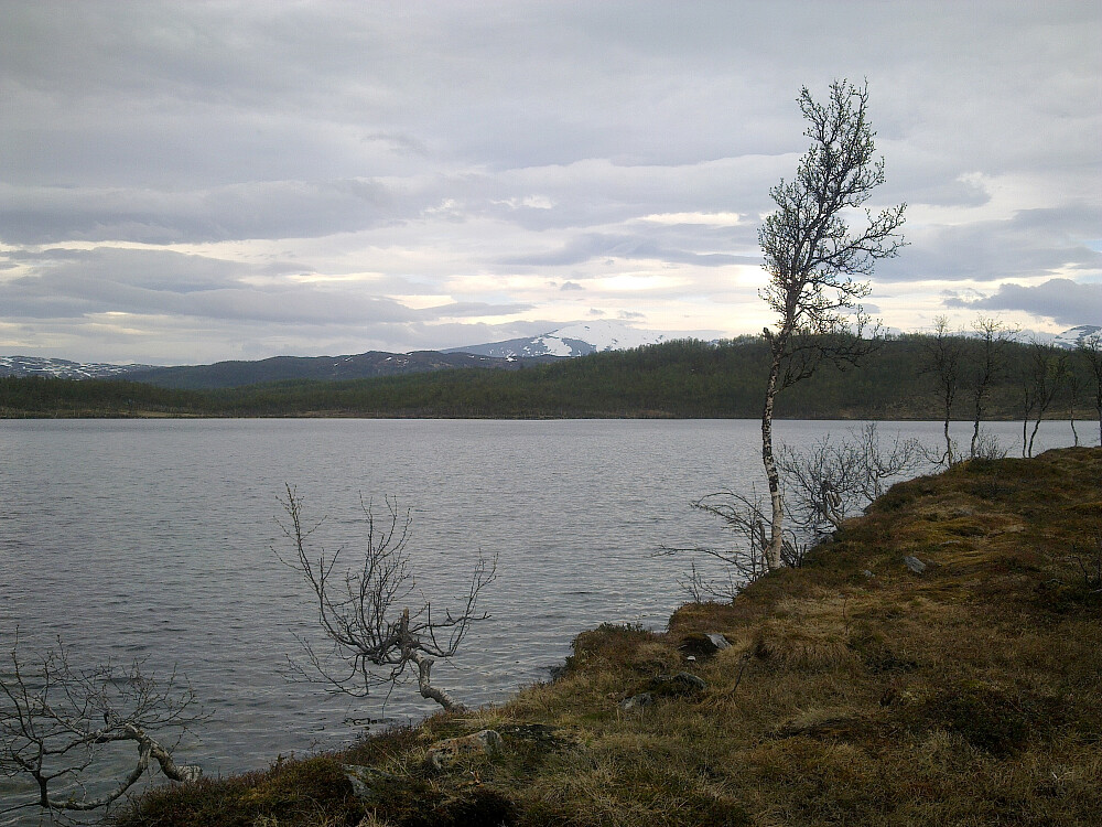 Ved Movikvatnet Trimpost.
