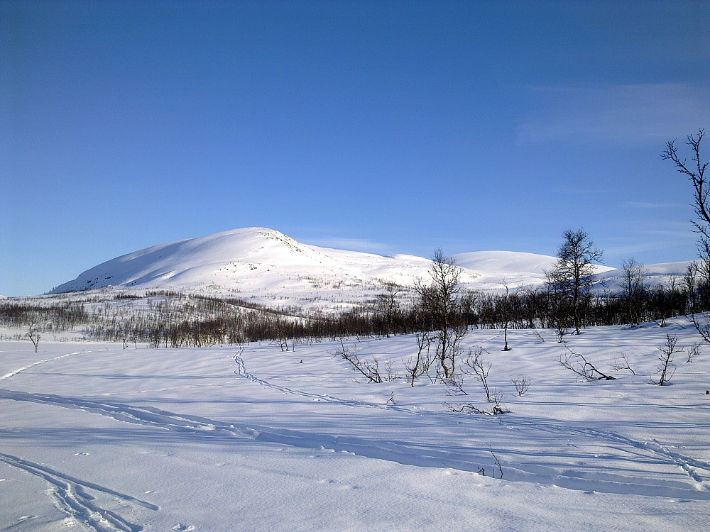 Blåkollen 461 moh. med vinterkappe (nærmest)