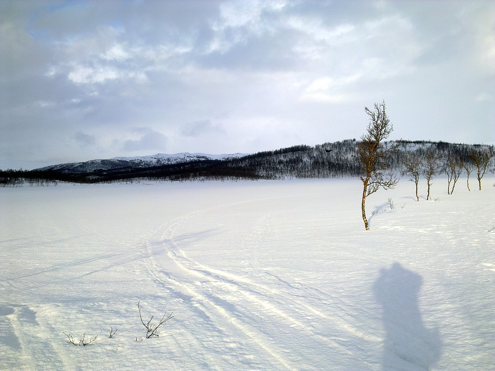 Med sola i ryggen i dag.