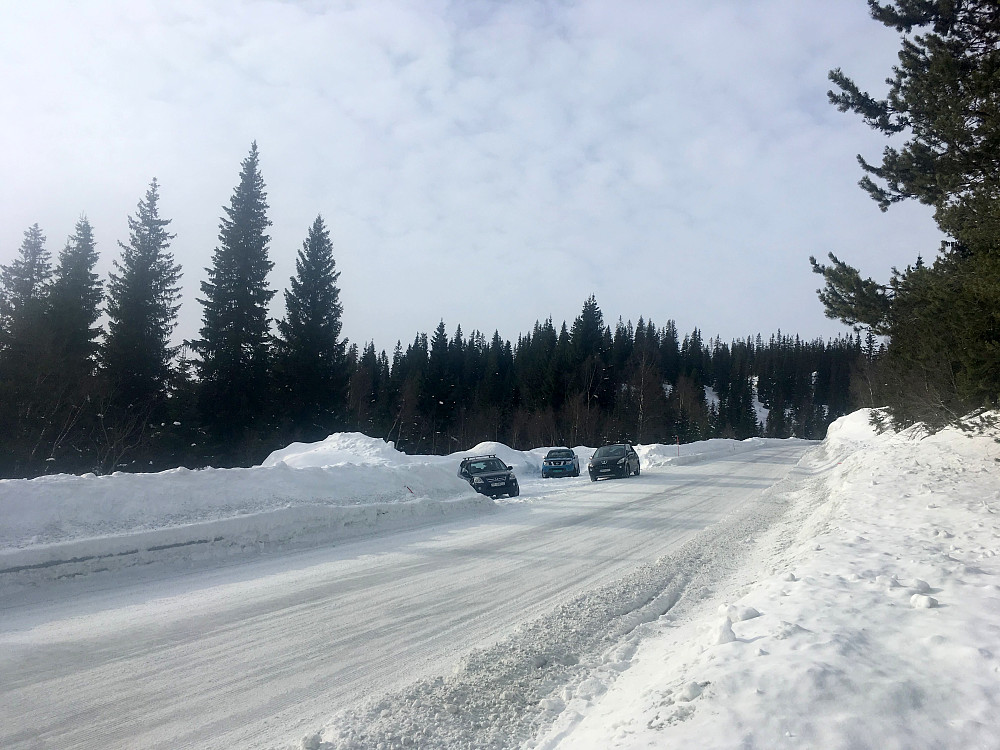 Startet ved Elvvatnet p-plass.