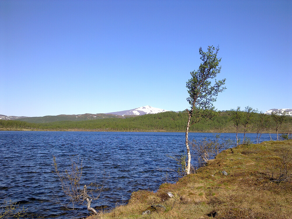 Fint ved Movikvatnet i dag.