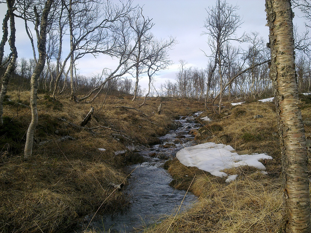 Litt mindre snø lenger ned i dalen.