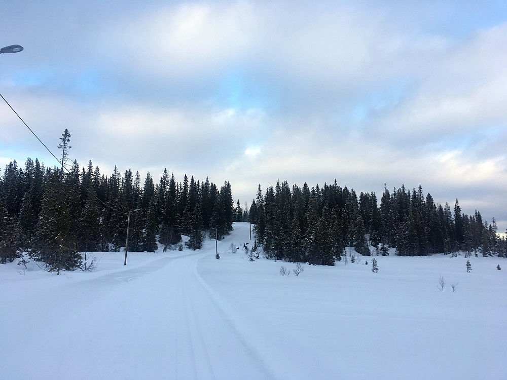 Parti fra 5 km.løypa.