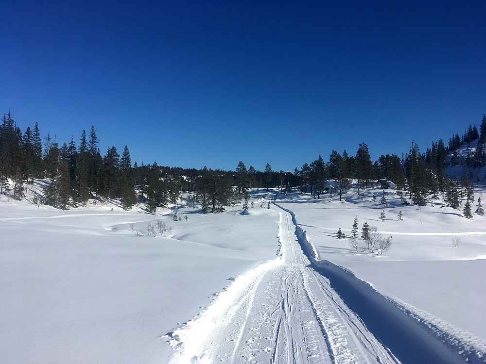 Her skal Bergfjell rennet gå i morgen.23 km.i klassisk stil fra BergUgla Skistadion til Fjelltun.