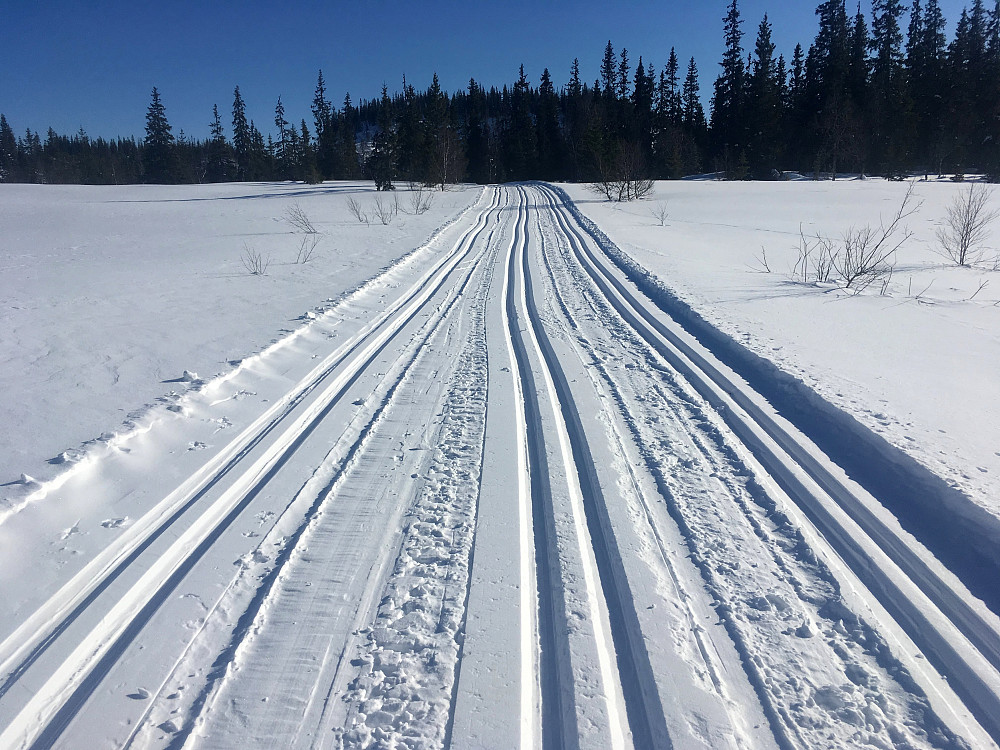Trippel spor på en del av turen i dag.Her ved Ramdalsvatnet.