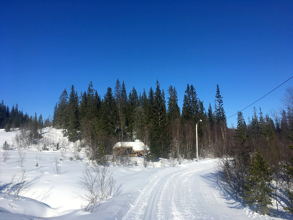 Innom gapahuken ved Medkartjønna.