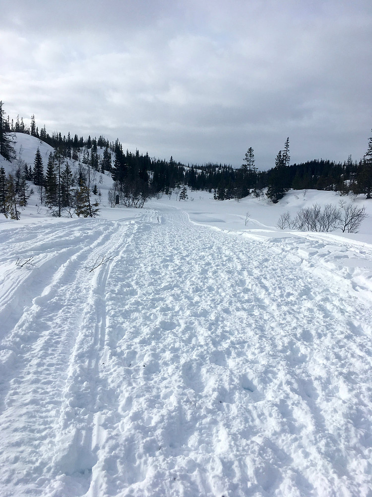 Reinflokken hadde benyttet seg av løypetraseen.Ikke mye skispor igjen her.