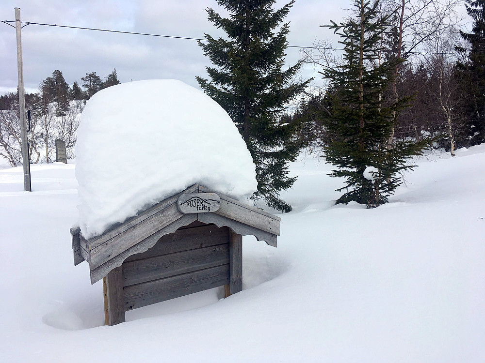 Mye snø på skogen i år.