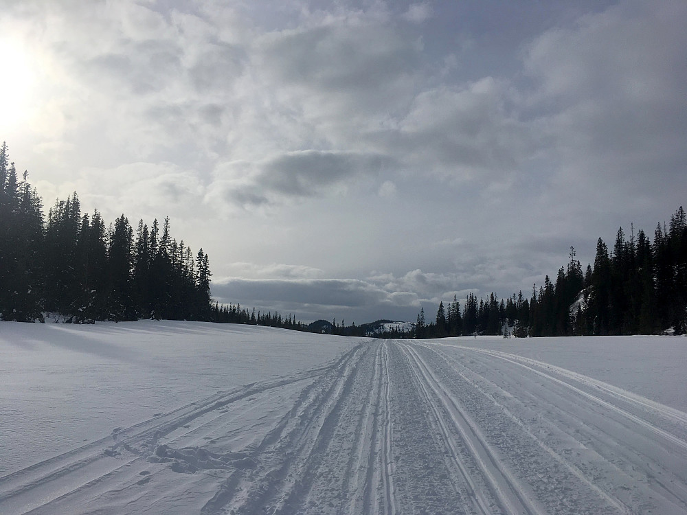 Skardsslættet mot Båvasshaugen i det fjerne.