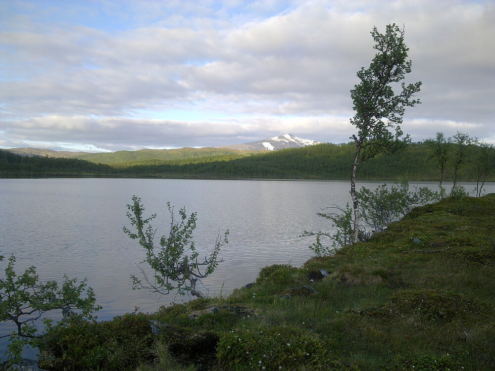 Ved Movikvatnet Trimpost.