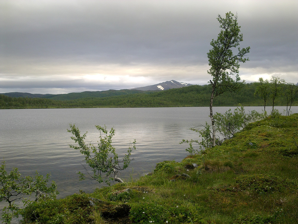 Grønt og fint har det blitt.Fortsatt stor snøflekker på Nonstinden.
