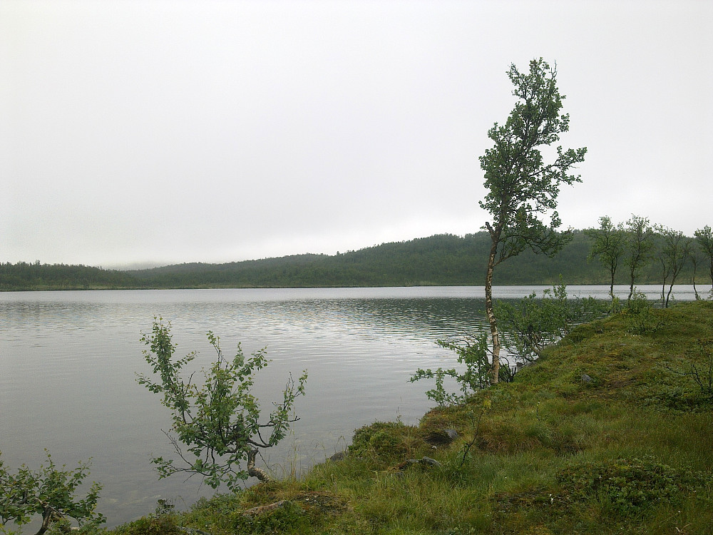Grått vær i dag.