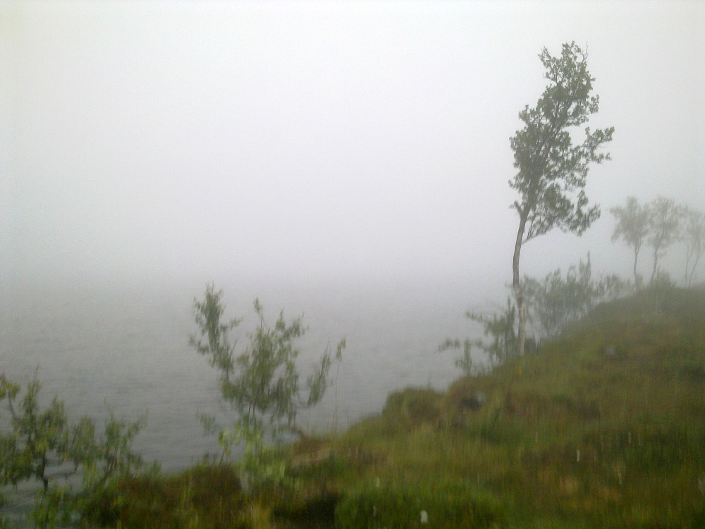 Skikkelig grått i dag.Ikke mye å se av omgivelsene her.