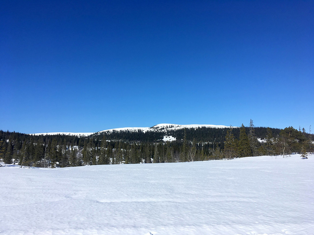 Svalbakheia 452 moh. bader i sol i dag.