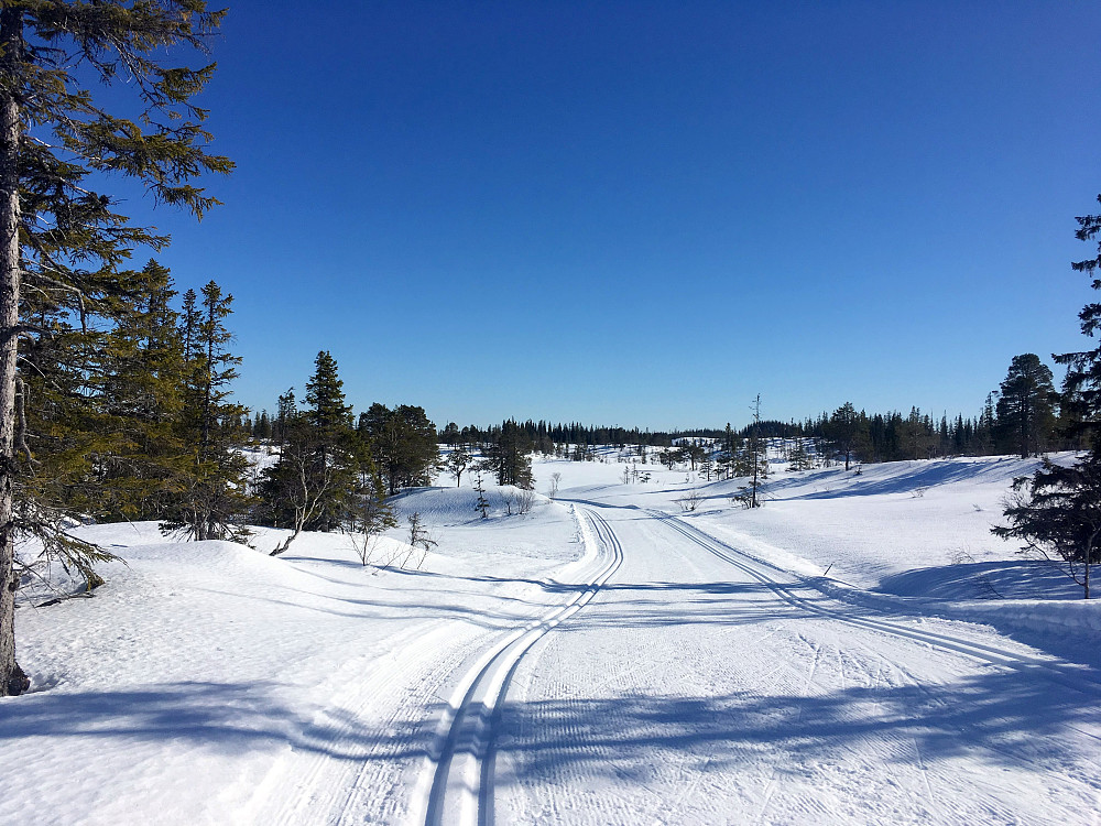 Mot Annfinntjønna.