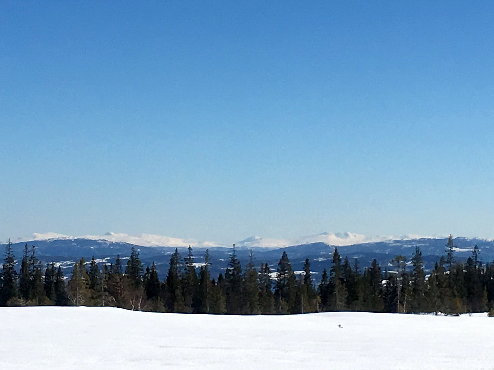 Klar sikt i dag.Meråkerfjellan i det fjerne.