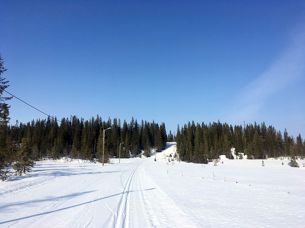 Topp vårvær i dag.