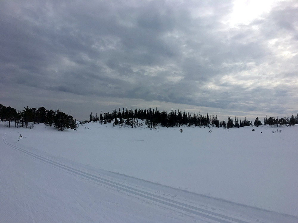 Mye snø ved Annfinntjønna enda.