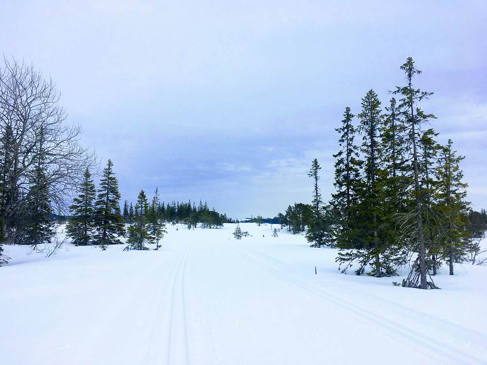Reidalsmyran.