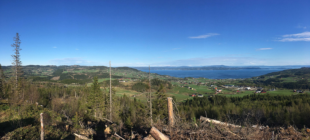 Panorama fra Luråsen mot Leksvik og Trondheimsfjorden.