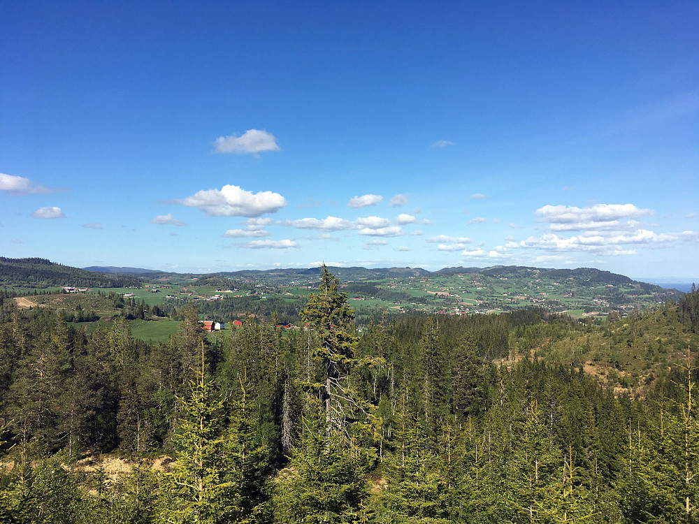 Panorama fra Barkåsen mot Leksvik.