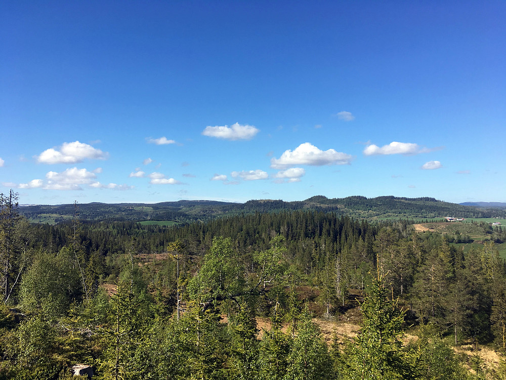 Fra Barkåsen mot nord.Langåskammen og Svalbakheia.