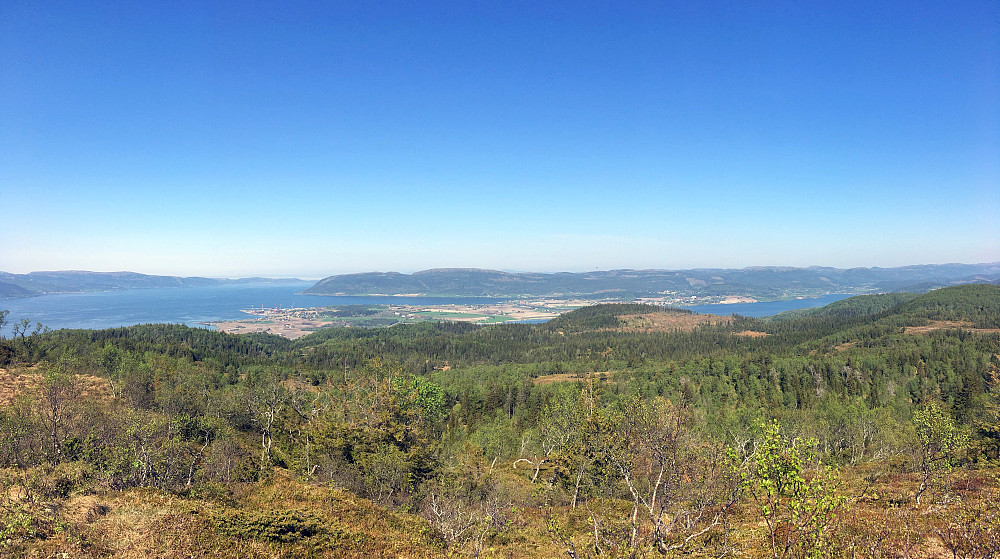 Panorama mot Rissa og Trondheimsfjorden.