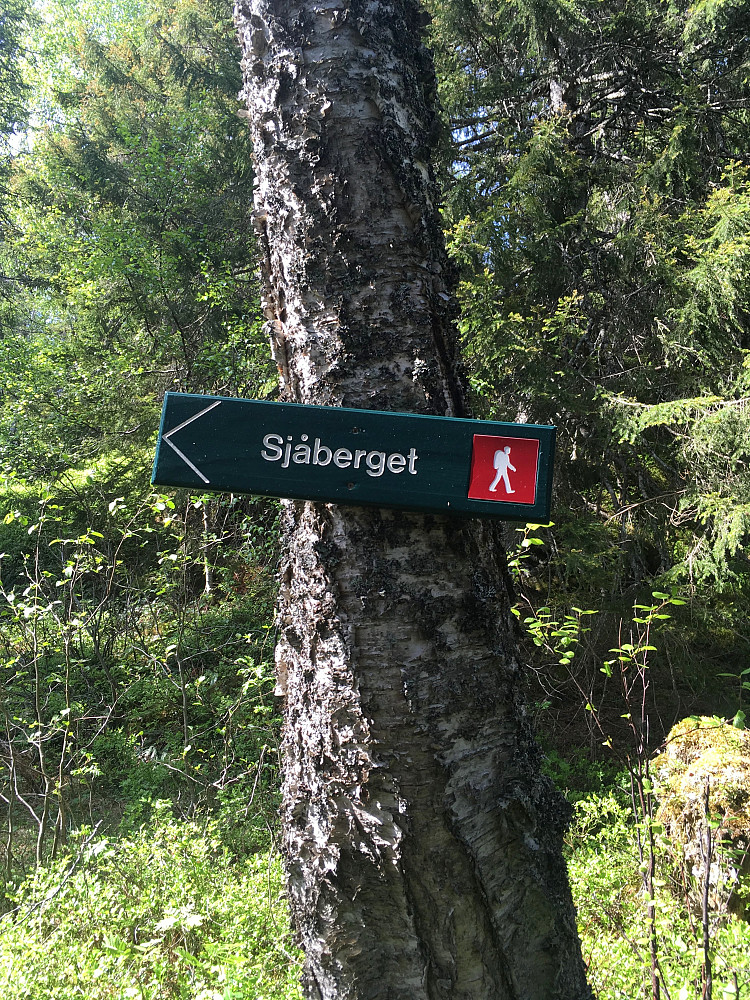 Fint at det er satt opp merking til Sjåberget da det ligger litt utenfor stien.
