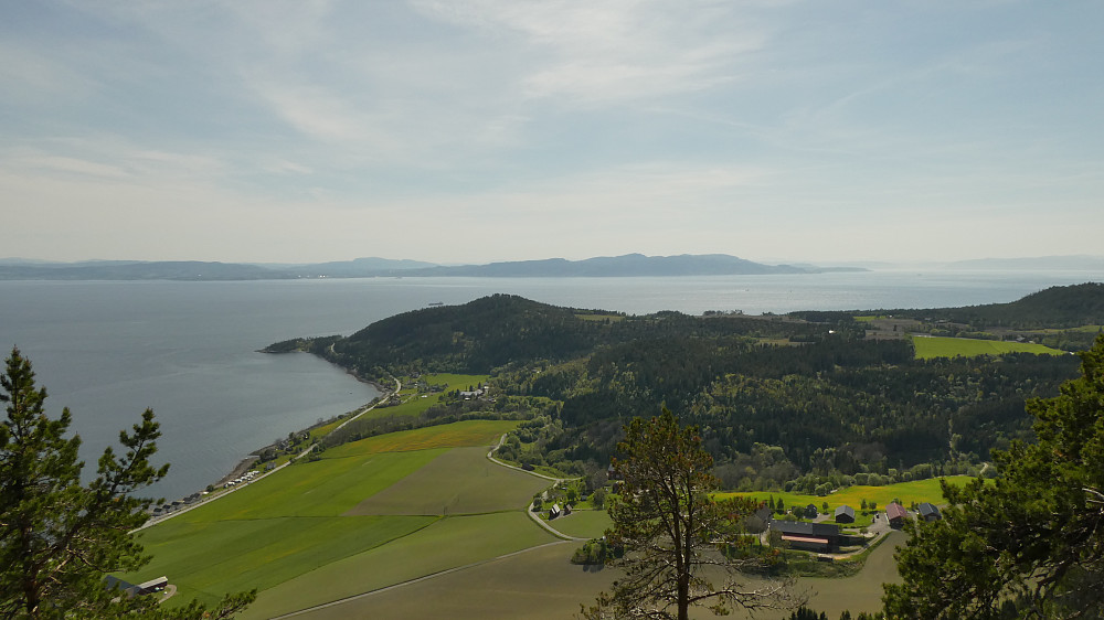 Sjåberget.Mot Hindrem og toppen Borgen.Trondheim på andre siden av fjorden.