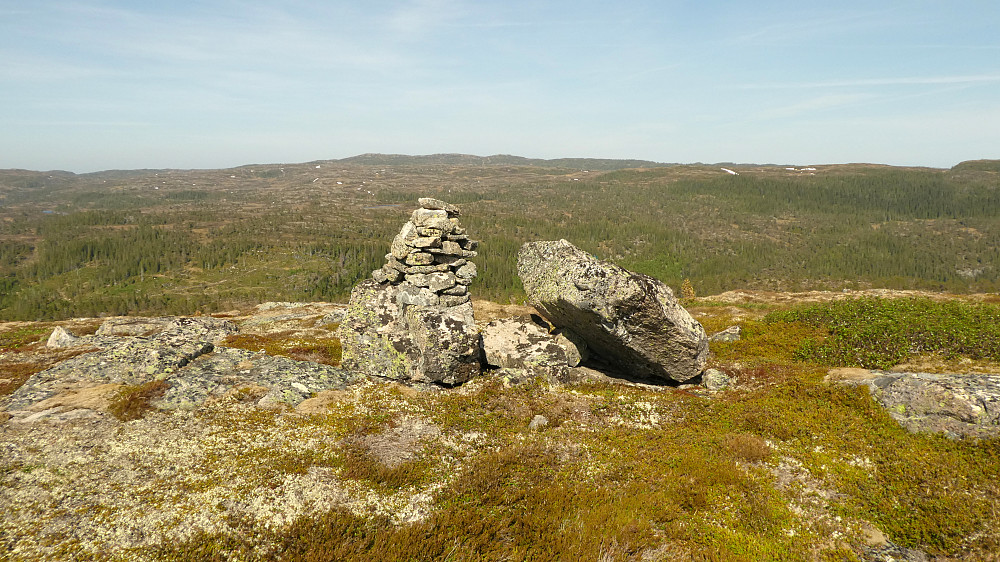 Leirsklumpen 433 moh.Toppvarden mot vest.