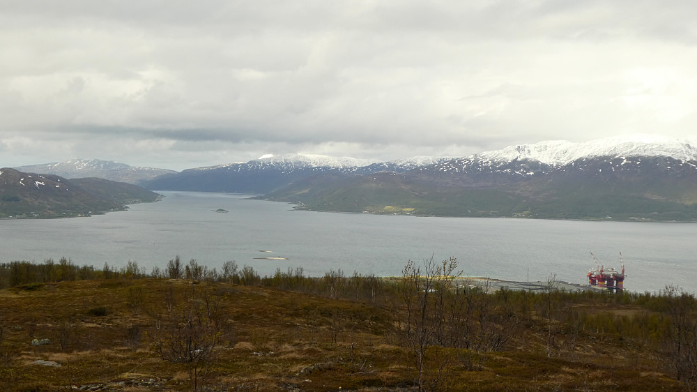 Skavåsen mot nord.Kvalsundet og Ringvassøya til høyre.
