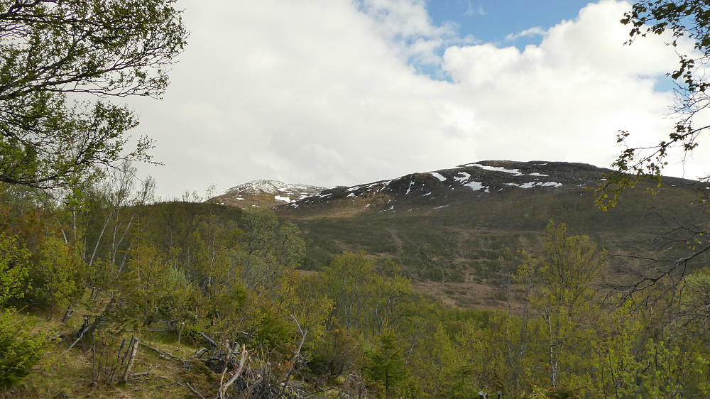Movikdalen med Movikhammaren 357 moh. til høyre.