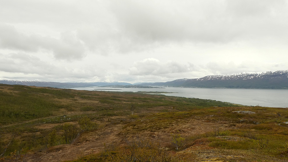 Toppen av Forråsen. Tromsø i det fjerne.