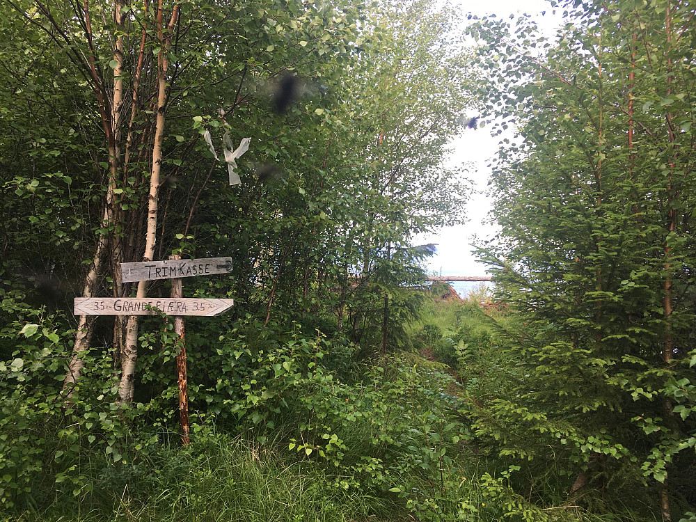 Beitkammen har også en trimpost (flueplagen kan også bli intens i år)