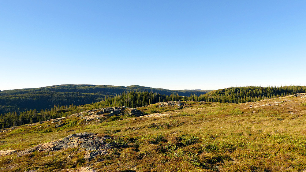Korpheia langt i det fjerne.