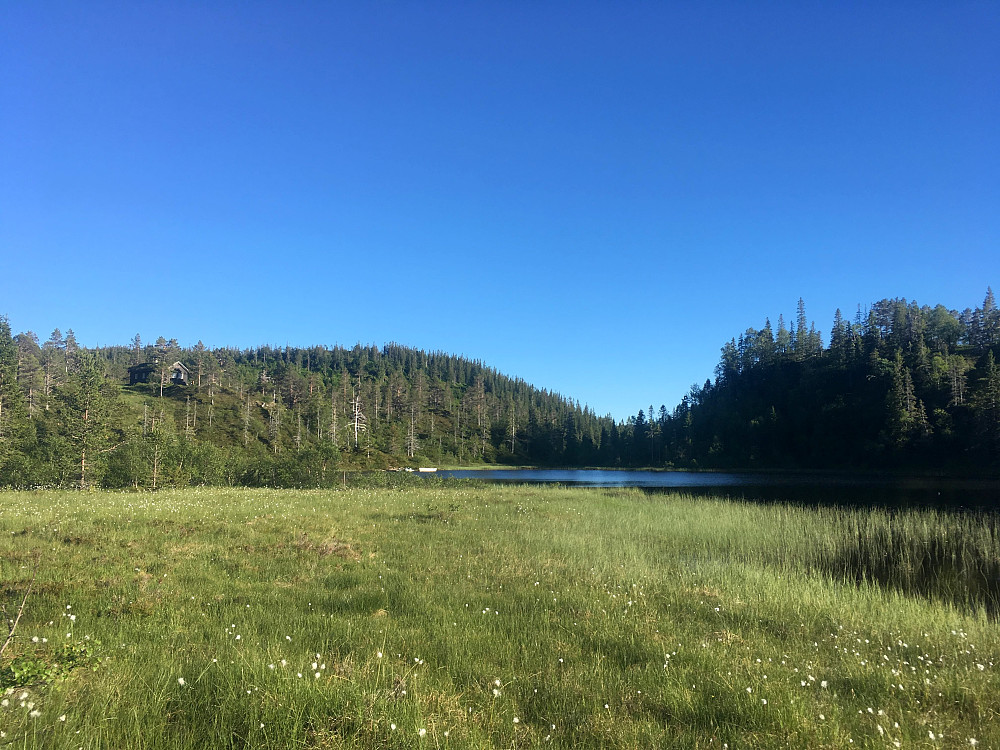 Damtjønna er en idyllisk plass.